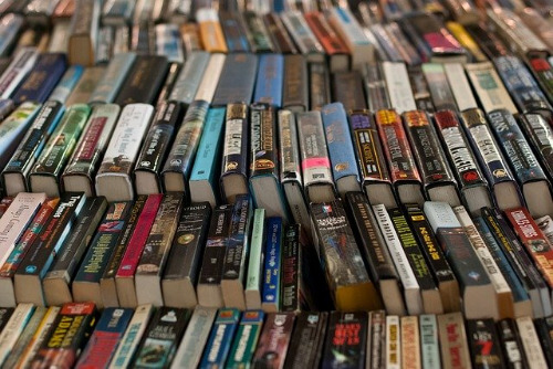 よくランクインする予約販売の商品ジャンル